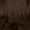Regal Wig by Mane Attraction