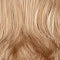 Regal Wig by Mane Attraction