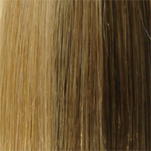 Sue by Wig Pro: Synthetic Hair Wig LAST CALL!