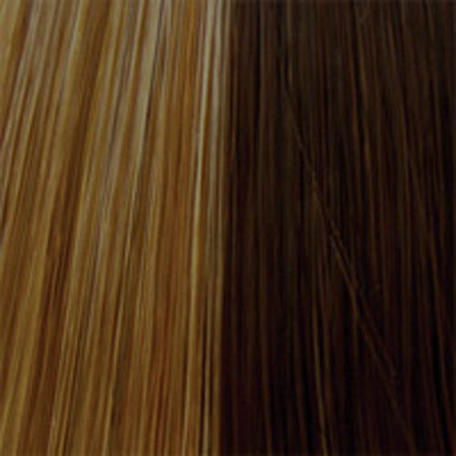 Sue by Wig Pro: Synthetic Hair Wig LAST CALL!