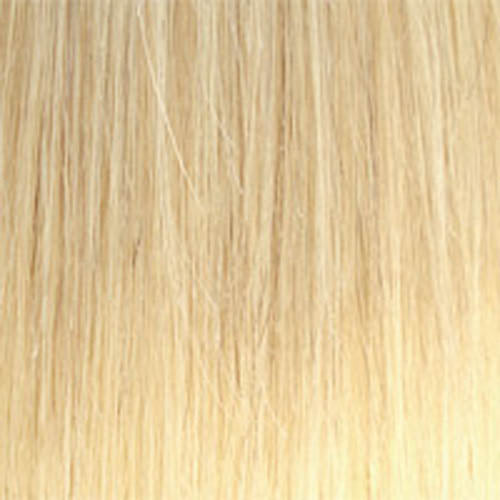 Sue by Wig Pro: Synthetic Hair Wig LAST CALL!
