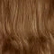 Regal Wig by Mane Attraction