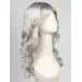 Orchid by Estetica