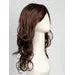 Orchid by Estetica