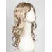 Orchid by Estetica