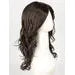 Orchid by Estetica