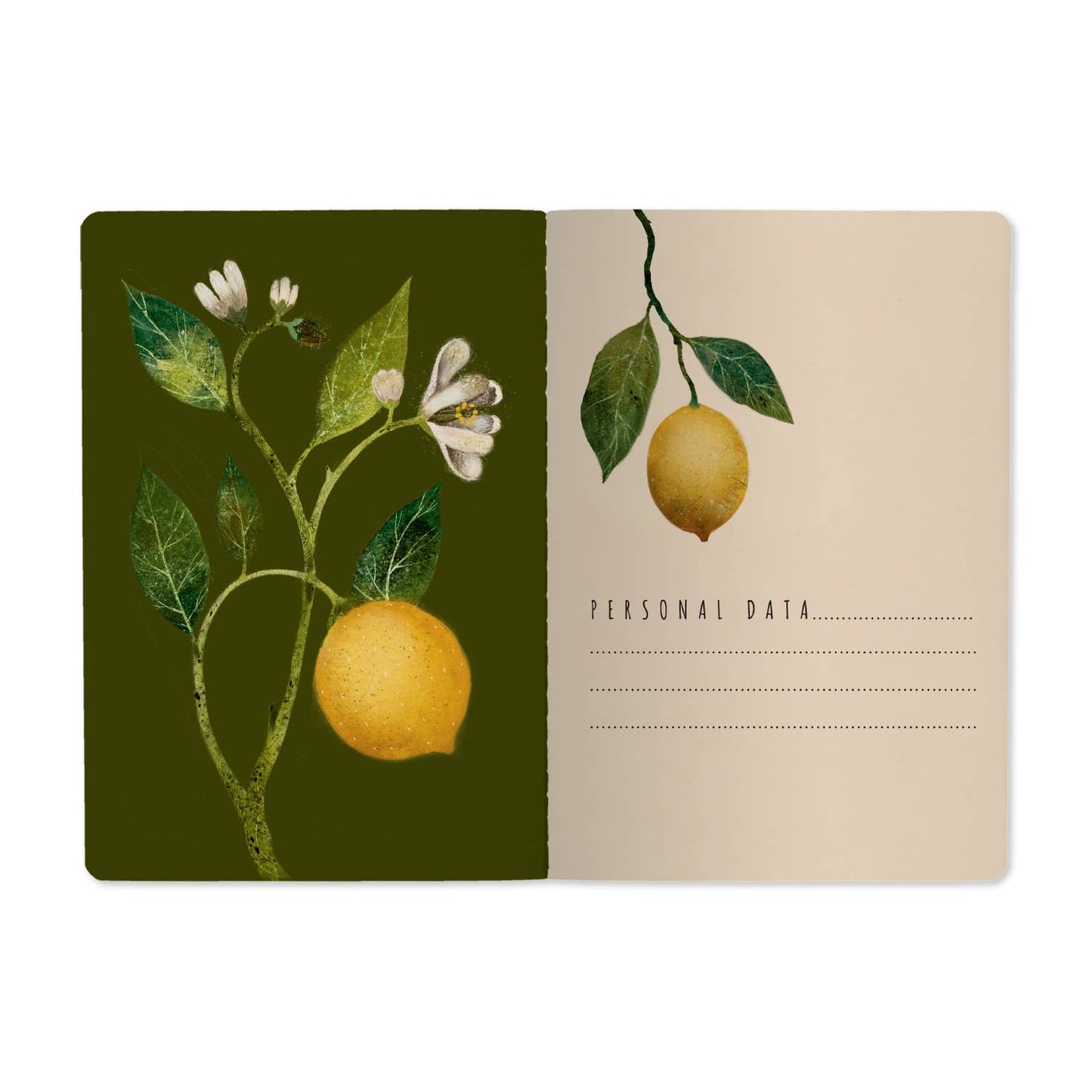 Lemons by BV by Bruno Visconti