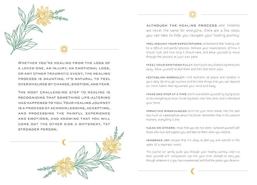 Healing: A Day and Night Reflection Journal by Insight Editions