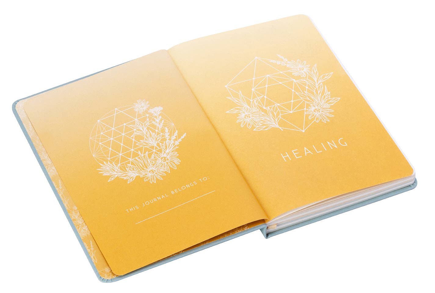 Healing: A Day and Night Reflection Journal by Insight Editions
