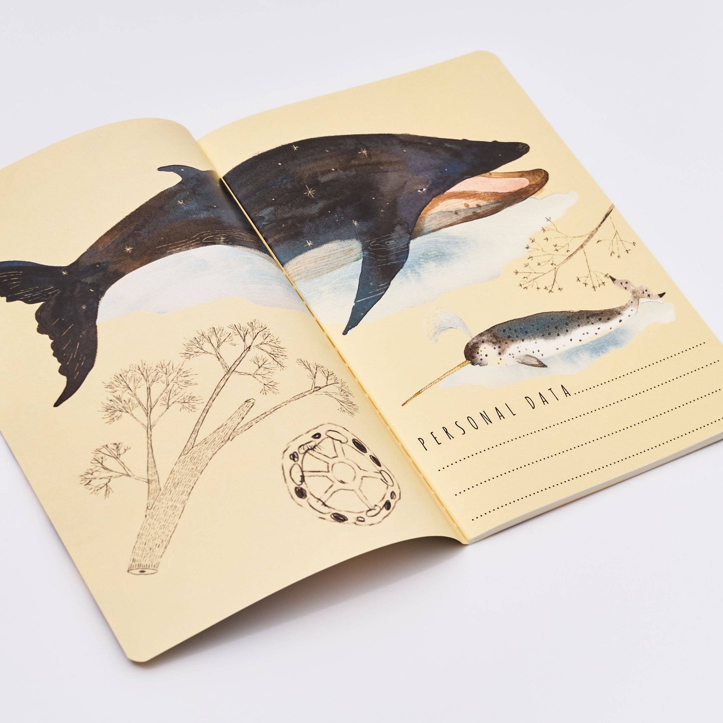 Whales by BV by Bruno Visconti