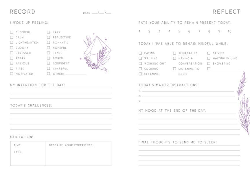 Inner World 365 Day Journaling 4-Piece Boxed Set by Insight Editions