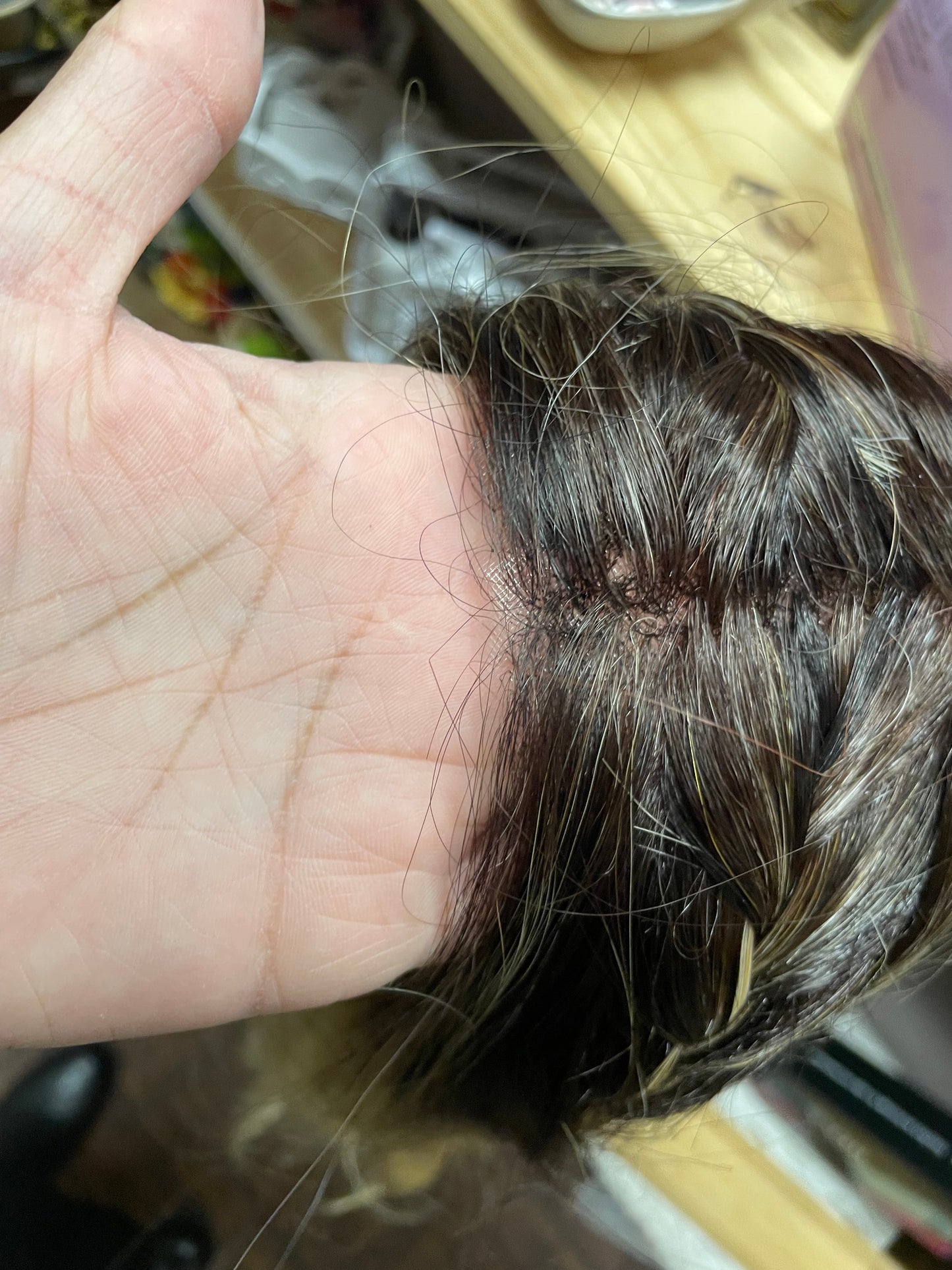 Braided Waterfall by Paula Young: Lace Front/Mono Part (Discontinued)