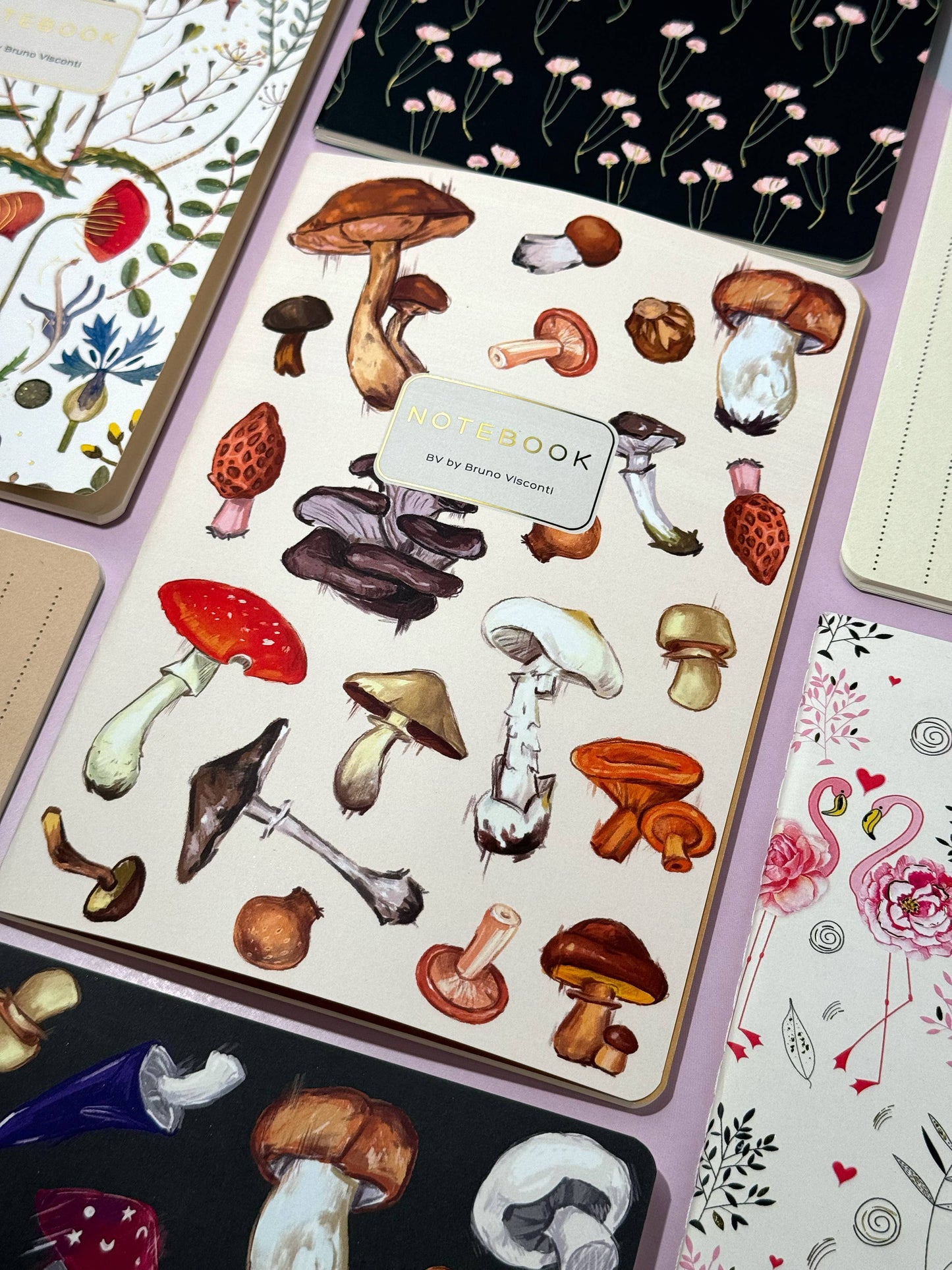 BV by Bruno Visconti – Mushrooms on White Notebook