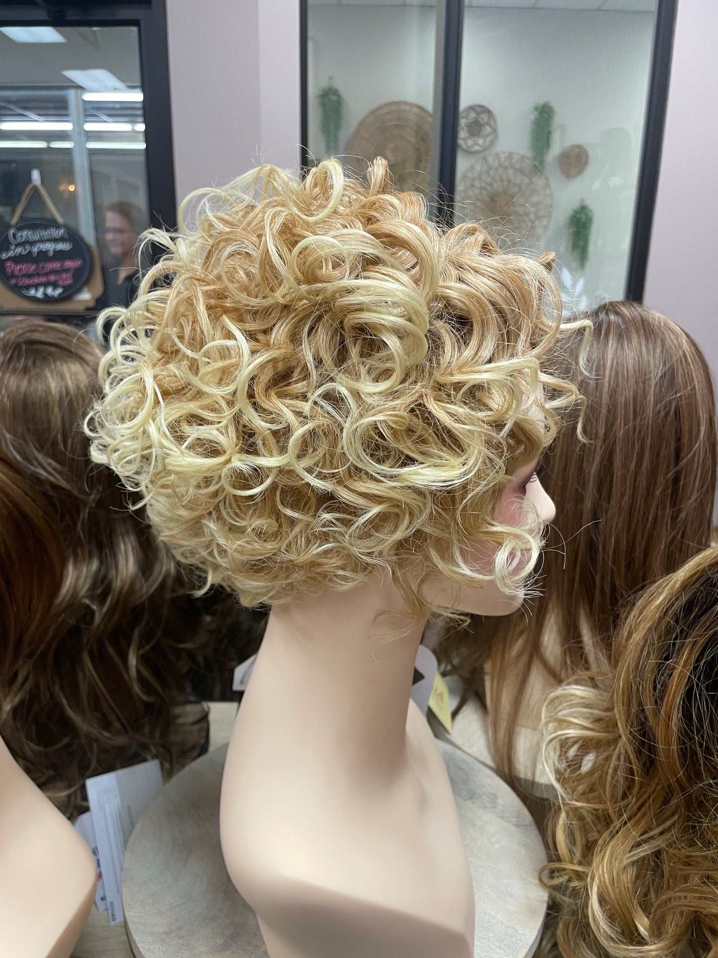 Megan by Vivica A. Fox Hair Collection in TP613/27 *BOUTIQUE DEAL*