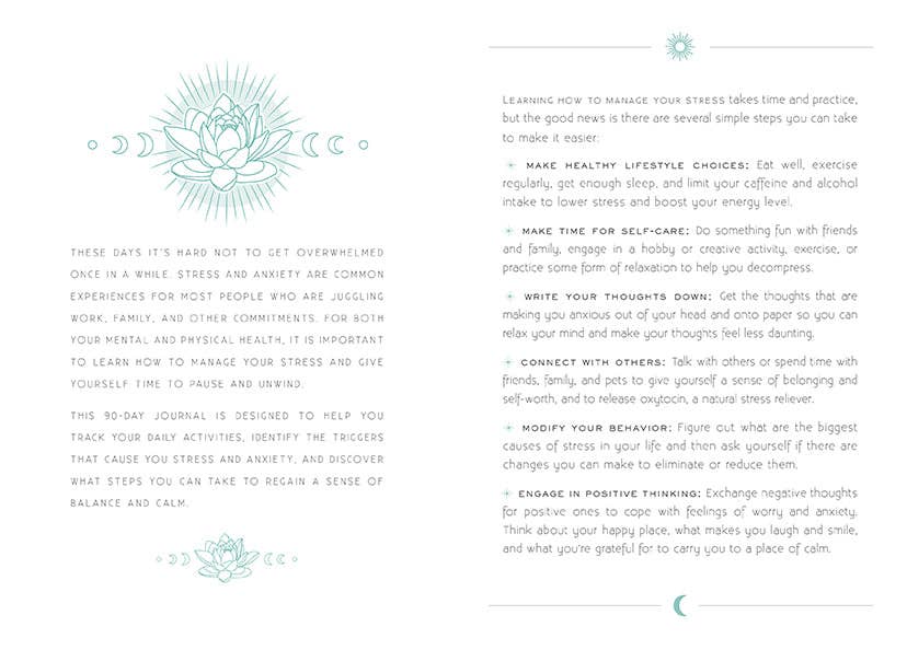 Calm: A Day and Night Reflection Journal by Insight Editions