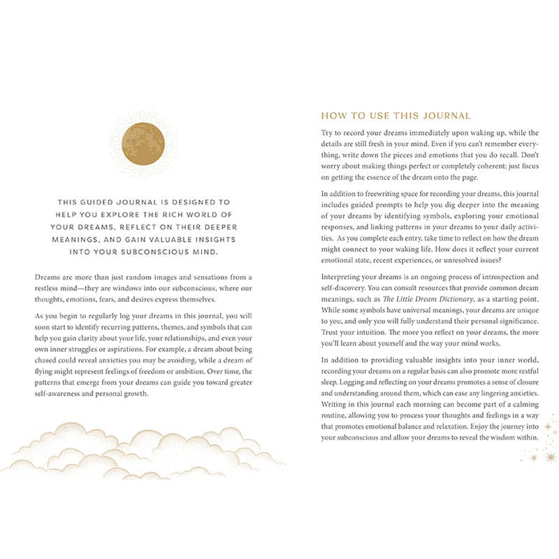 The Little Dream Journal by Insight Editions