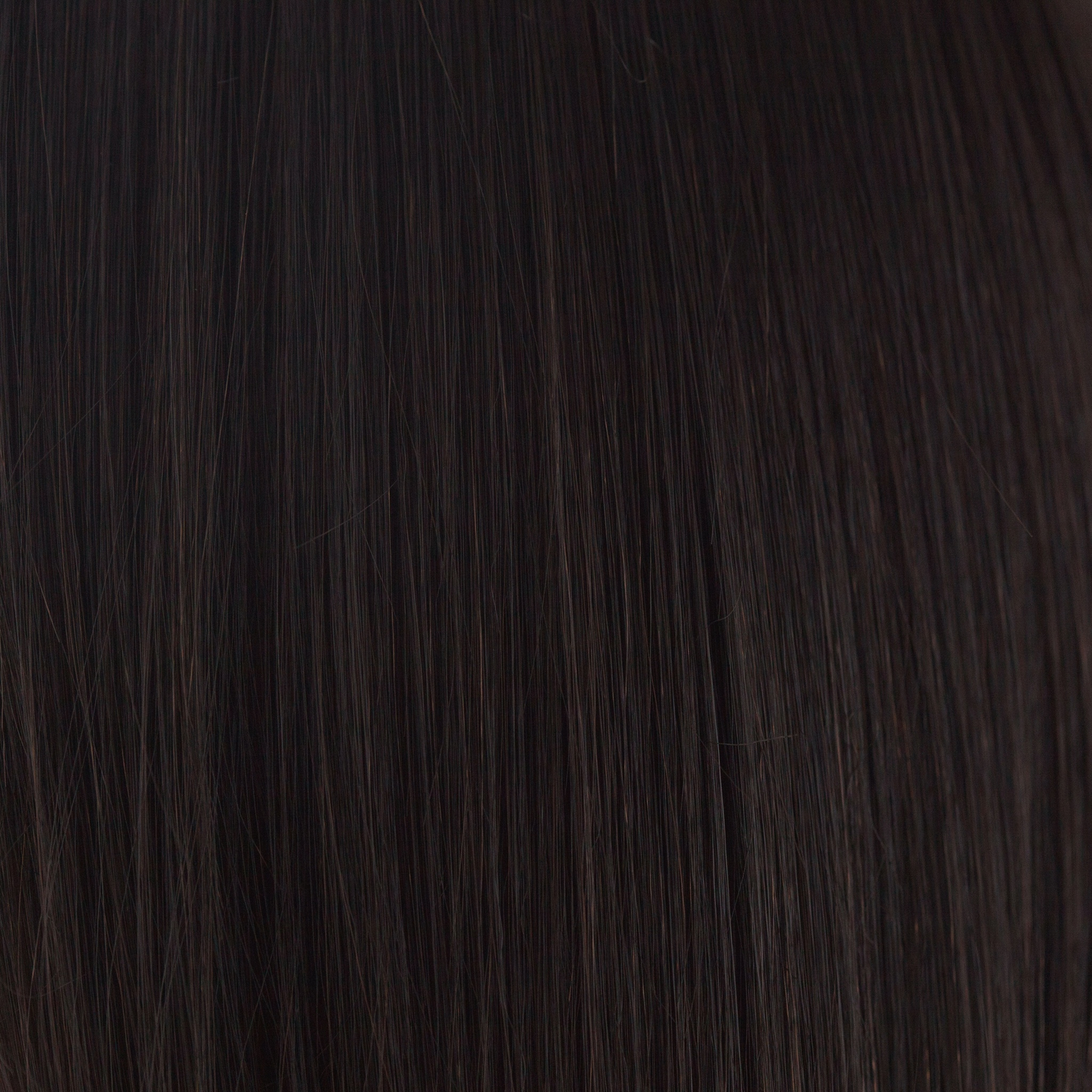 Terra Wig - 2592   Amore Collection