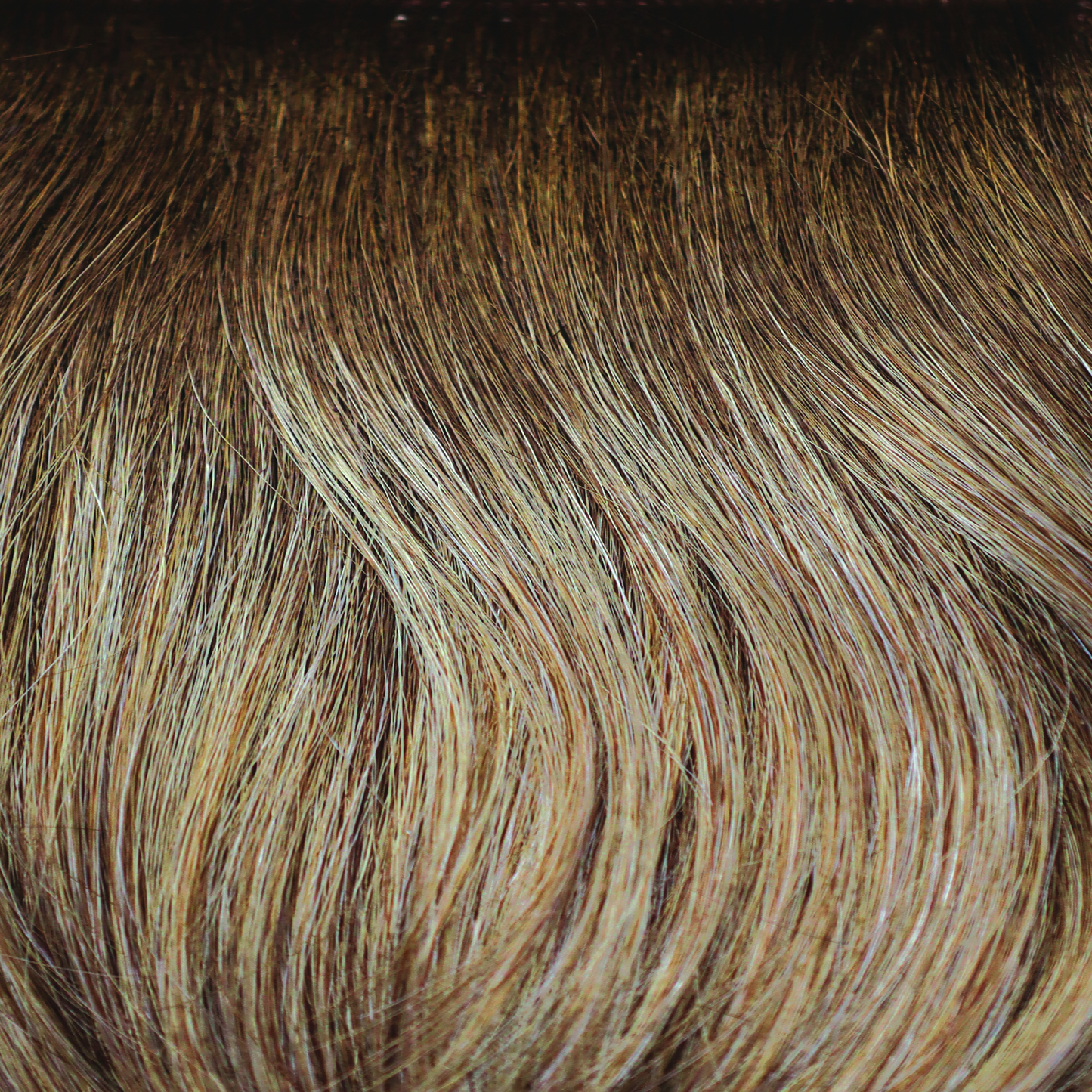 Tara Wig - 2402   ROP Hi Fashion Collection