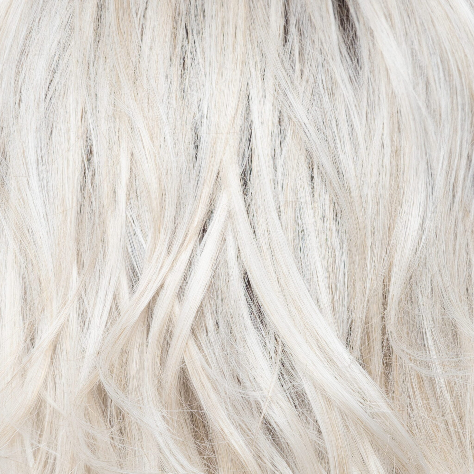 White Rose Blond-R - A white blond base with subtle warm brown highlights. The medium-brown root creates a vibrant appearance.