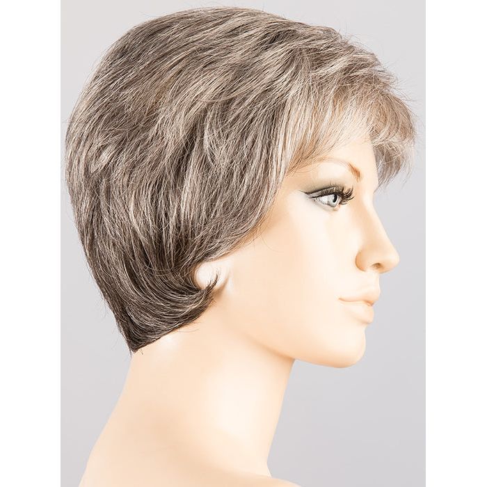 SALT PEPPER MIX 56.44.39 | Darkest/Dark Brown and Lightest Blonde blended with a Grey Blend