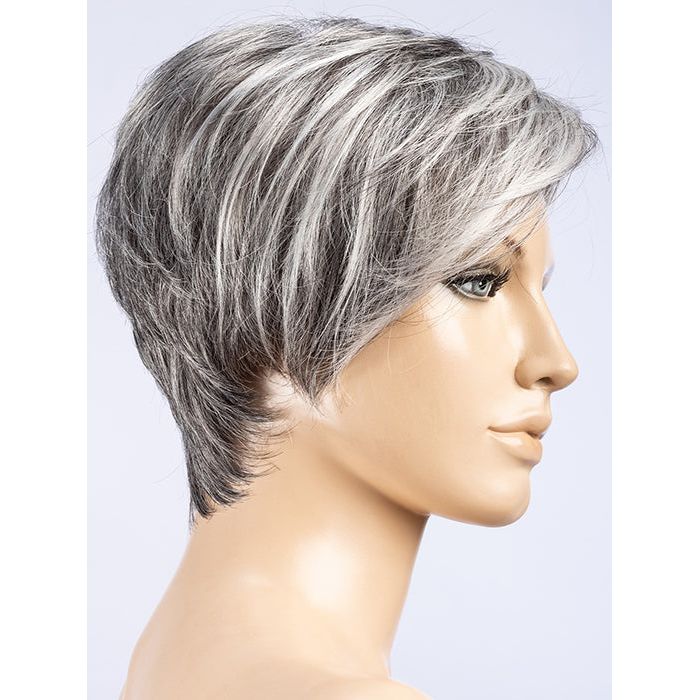 SALT PEPPER MIX 51.44.39 | Darkest/Dark Brown blended with a Grey Blend